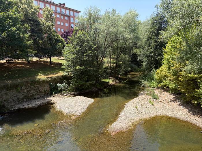 78 urteko gizon baten gorpua aurkitu dute Iurretako Ibaizabal errekan