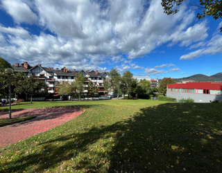 Durangoko EH Bilduk dioenez, udalak "aurreikusitakoaren % 18 baino ez du bideratu" Zumar kaleko zuhaitzetara