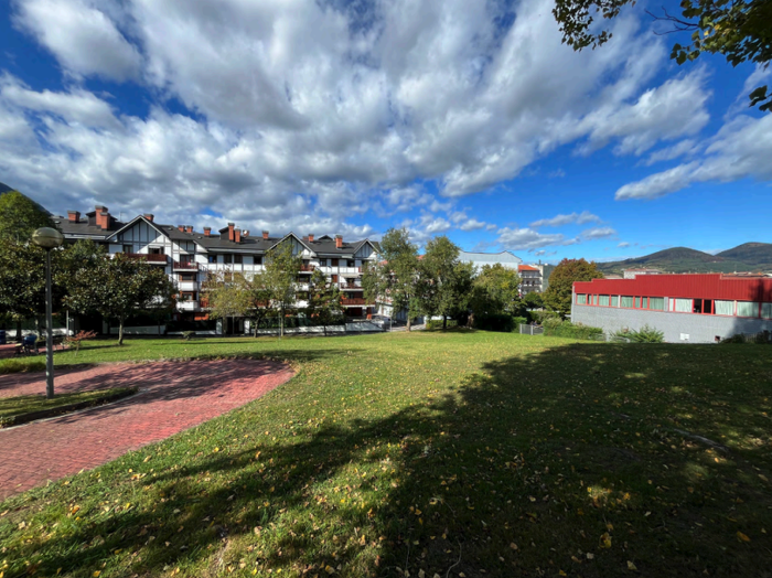 Durangoko EH Bilduk dioenez, udalak "aurreikusitakoaren % 18 baino ez du bideratu" Zumar kaleko zuhaitzetara