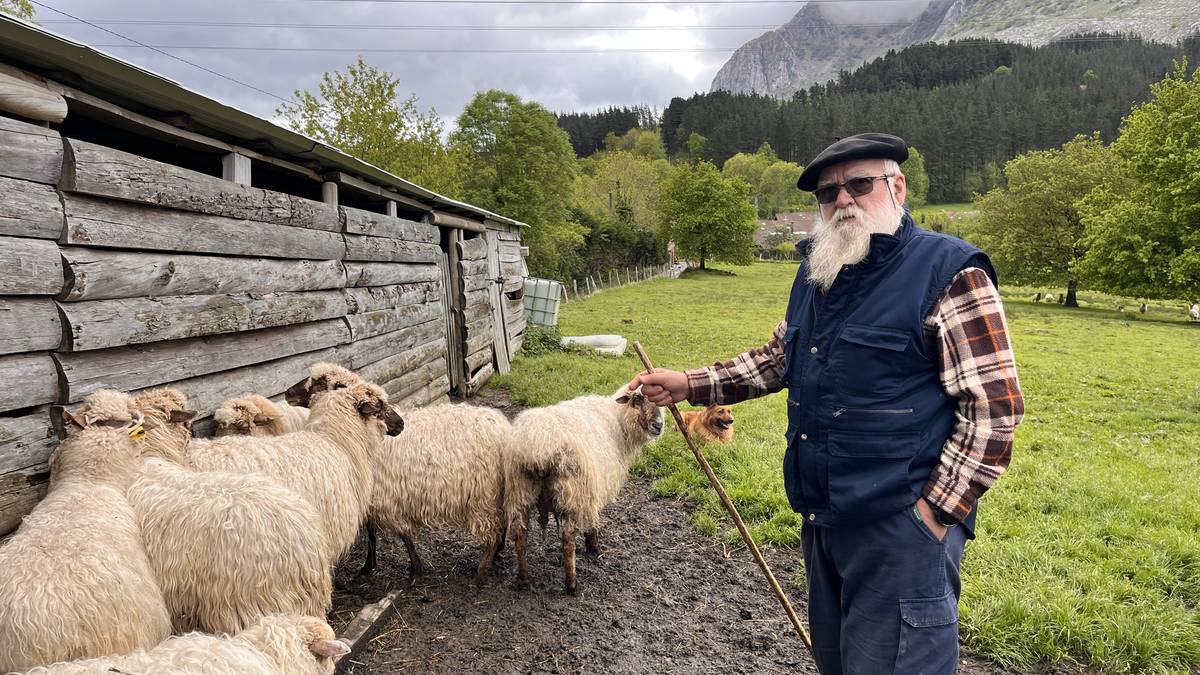 [BIDEOA]: "Berba eta laztan asko eginda sortzen da artzainaren eta txakurraren arteko lotura"