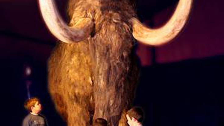 Neanderthal sasoiko gizakiaren gaineko erakusketa ikusgai