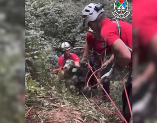 [BIDEOA]: Leize-zulo batera jausitako txakur biren erreskatea iruditan