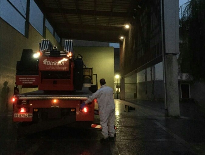 Asiako liztorraren erlauntz bat kendu dute Zornotzan