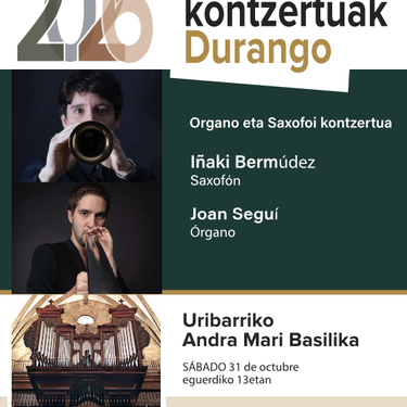 Organo kontzertuak