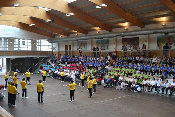 gimnasia topaketa