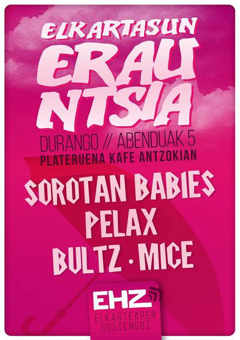 EHZrekin elkartasun jaialdia