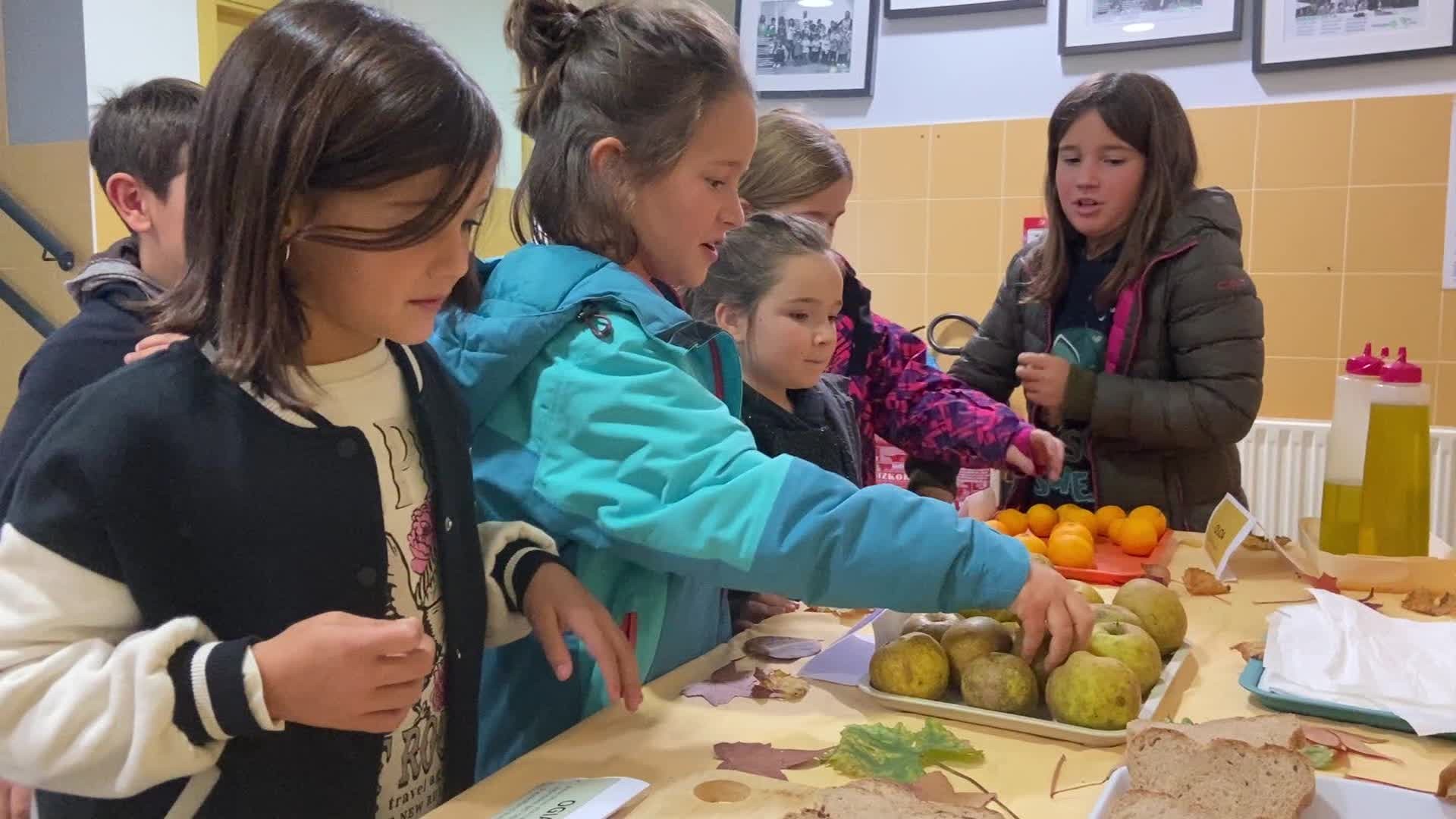 Hamaiketako osasungarriak egingo dituzte maiatzean Maiztegin, Berrizen, Elorrion eta Zaldibarren