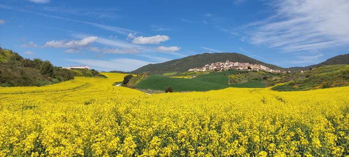 Kolore