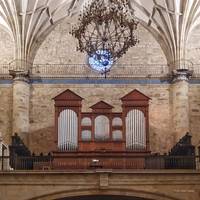 Roberto Fresco organo jolea