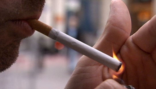Guraso Eskolaren baitan ikastaro berriak hasiko dituzte
