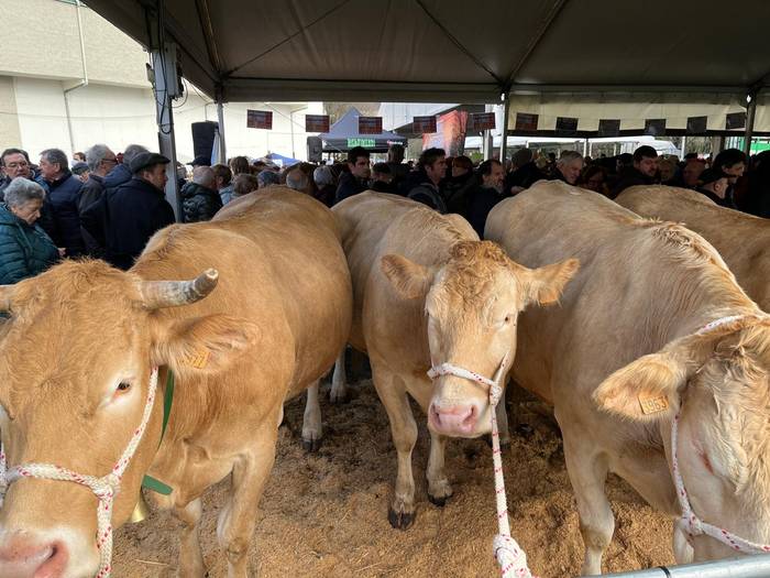Behirik eta idi probarik gabeko San Blas azoka izango da aurtengoa