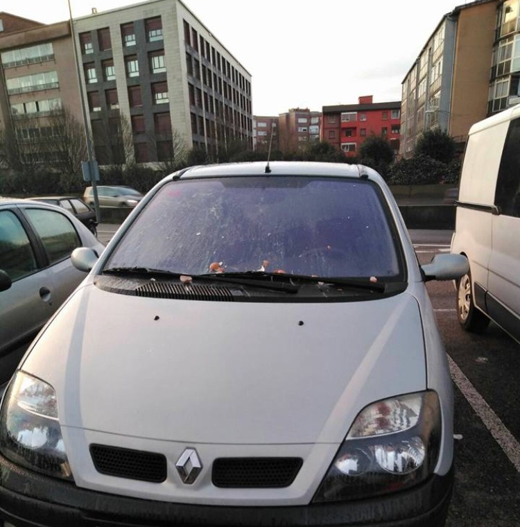 Iurretako gazte bati autoa hondatu diote Ibarretxe ondoko parkinean