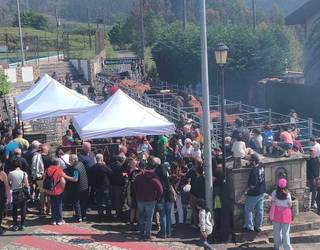 [ARGAZKI GALERIA]: Jai giroa izan da nagusi asteburuan Zornotzako Boroa auzoan