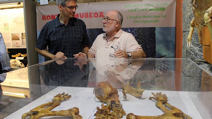 [ARGAZKIAK] Orain 25.000 urte desagertutako leize-hartzaren eskeletoa ikusgai dago Mañariko Hontza Museoan