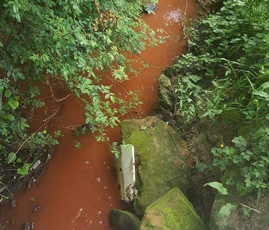Larrinagatxu errekan "naturaren aurkako atentatua" egin dutela salatu du Herriaren Eskubideak