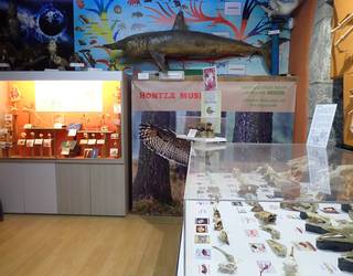 Askotariko ekimenez beteriko urtea izango da Hontza Museoan