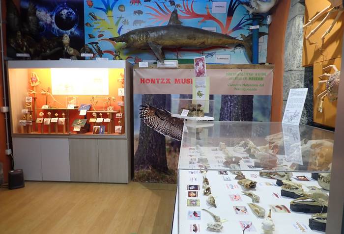 Askotariko ekimenez beteriko urtea izango da Hontza Museoan