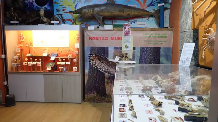 Askotariko ekimenez beteriko urtea izango da Hontza Museoan