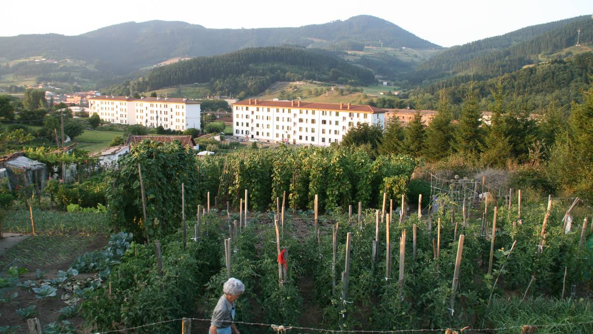 25 urteko ibilbidearen ostean, Pulla-Azkarreta garatzeko plana onartu dute Elorrion
