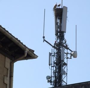 Antenen arautegia onartu dute, denak ados egon ez arren