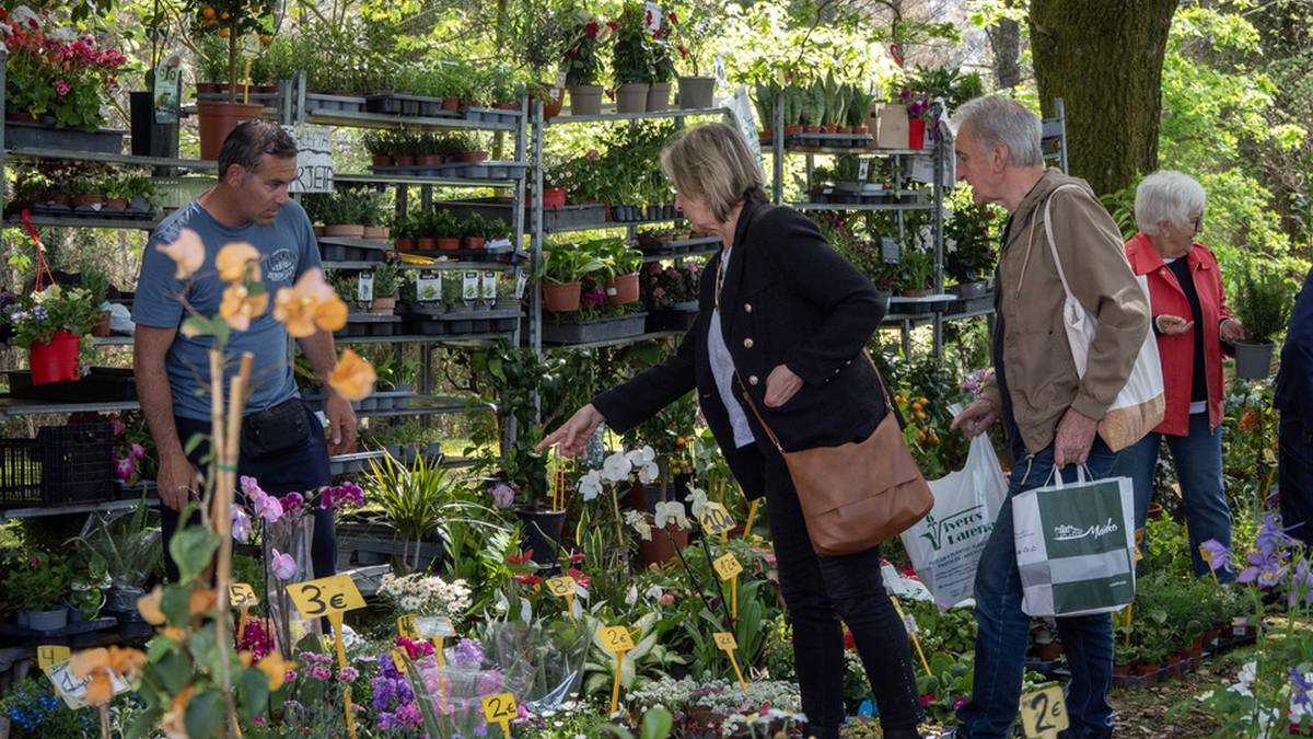 [ARGAZKI GALERIA]: Udaberriak aldarterik koloretsuenagaz jantzi du Garai