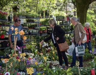 [ARGAZKI GALERIA]: Udaberriak aldarterik koloretsuenagaz jantzi du Garai