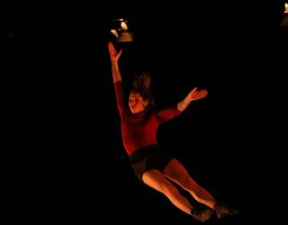 Maluta zirkuaren  XI. edizioa, ate joka