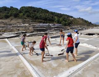 [ARGAZKI GALERIA]: Trumoitteren gatz haranerako bisita, iruditan