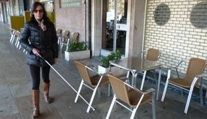 Terrazen udal ordenantza, itsu baten ikuspegitik