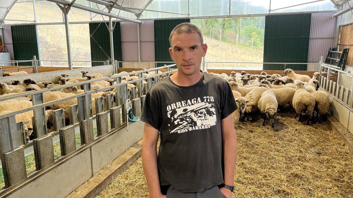 "Abuztuan lehendik baturiko belarra eman diegu jaten ardiei, larrean ez zegoelako ezer"