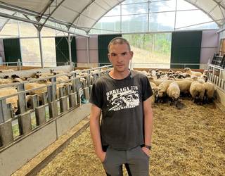 "Abuztuan lehendik baturiko belarra eman diegu jaten ardiei, larrean ez zegoelako ezer"