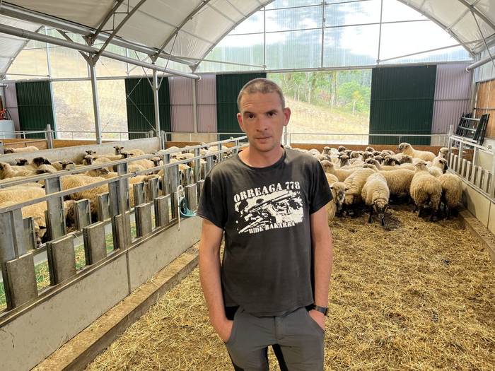 "Abuztuan lehendik baturiko belarra eman diegu jaten ardiei, larrean ez zegoelako ezer"