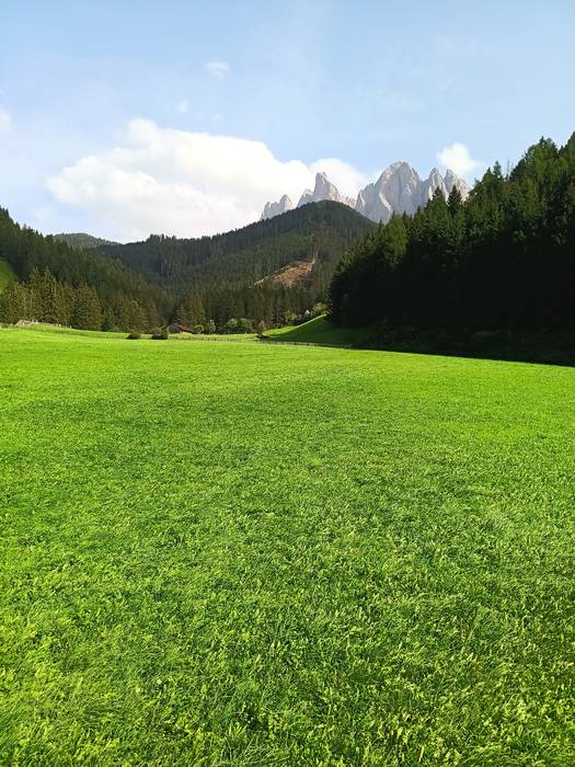 Olatu berdeak (Dolomitak)