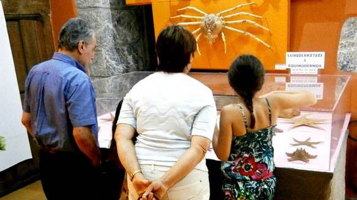 4.700 bisitari jaso dituzte Hontza museoan