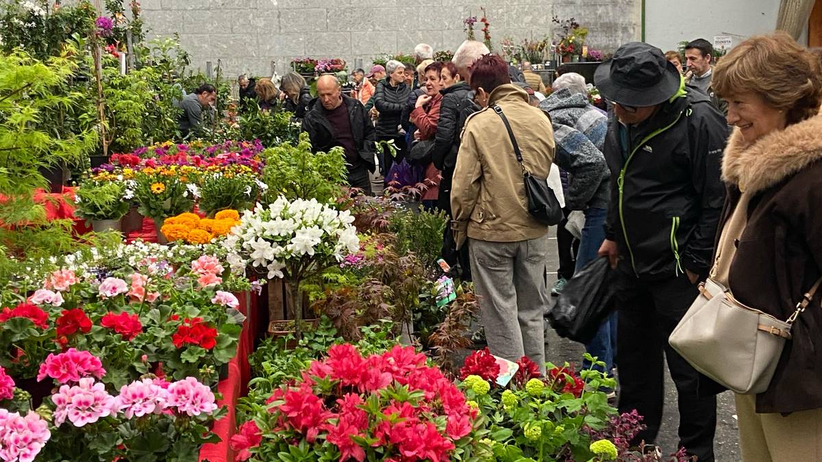 Garaiko kaleak kolorez beteko dira domekan, Landare eta Lorazaintza Azokagaz