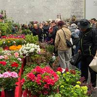 Garaiko kaleak kolorez beteko dira domekan, Landare eta Lorazaintza Azokagaz