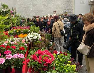 Garaiko kaleak kolorez beteko dira domekan, Landare eta Lorazaintza Azokagaz