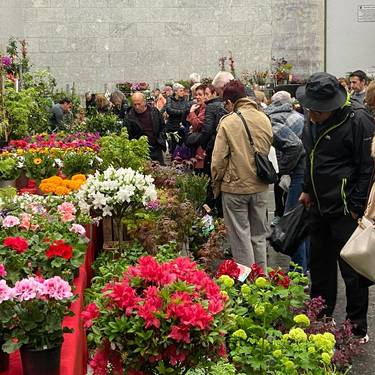 Garaiko kaleak kolorez beteko dira domekan, Landare eta Lorazaintza Azokagaz