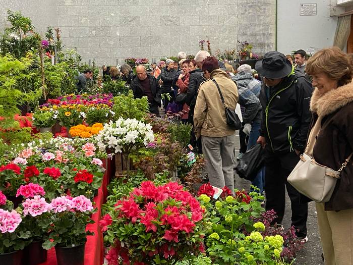 Garaiko kaleak kolorez beteko dira domekan, Landare eta Lorazaintza Azokagaz