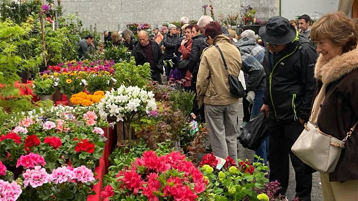 Garaiko kaleak kolorez beteko dira domekan, Landare eta Lorazaintza Azokagaz