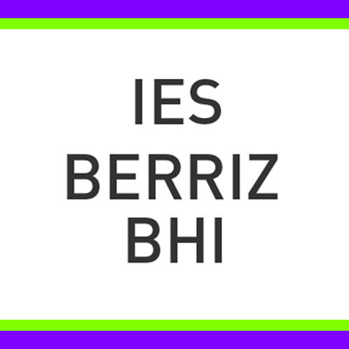 BERRIZ BHI logotipoa