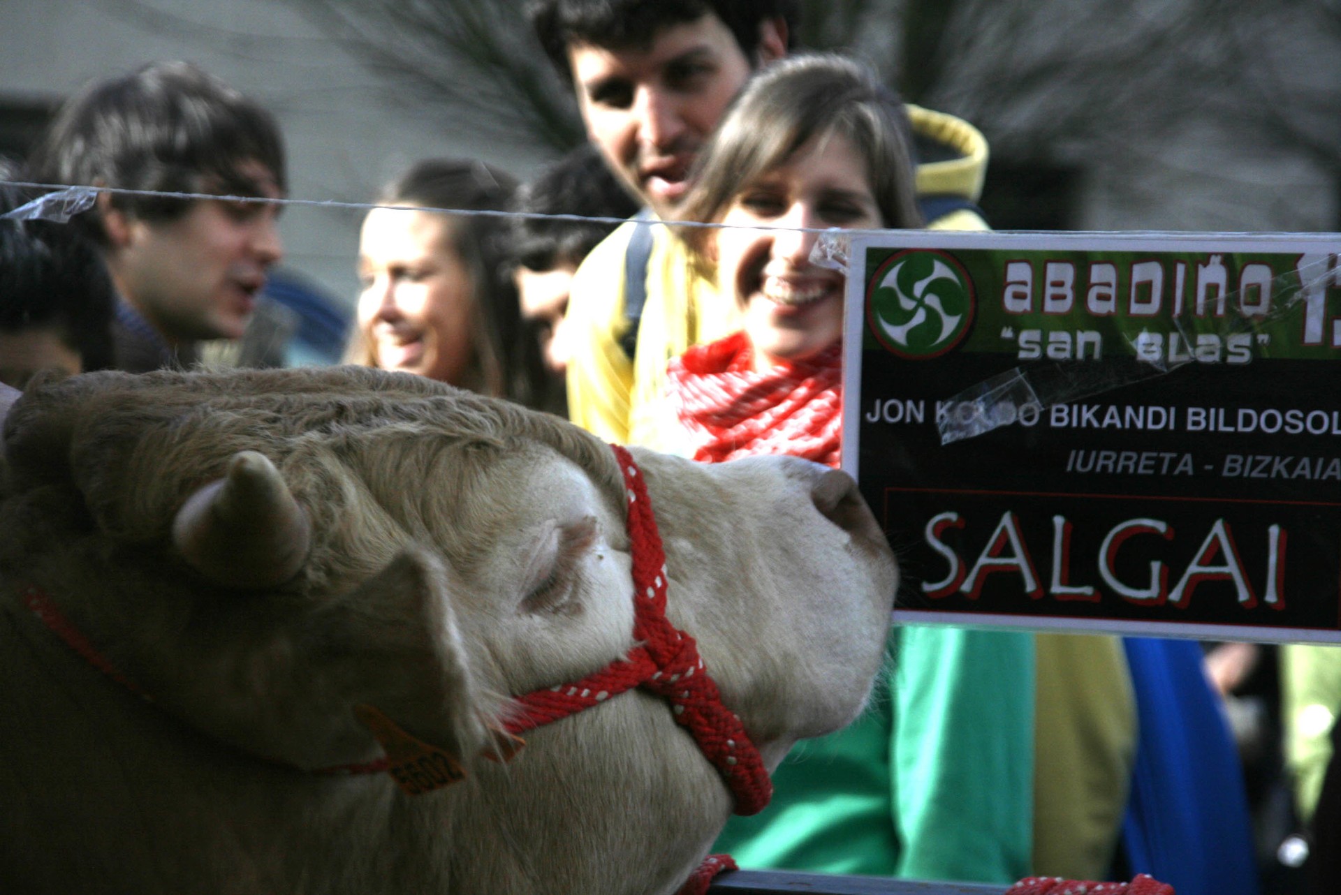 Ehundaka bisitari hartzeko prest, Abadiñoko San Blas azokan