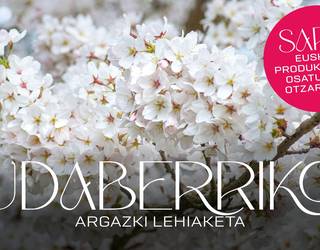 Udaberriko Argazki Lehiaketako oinarriak