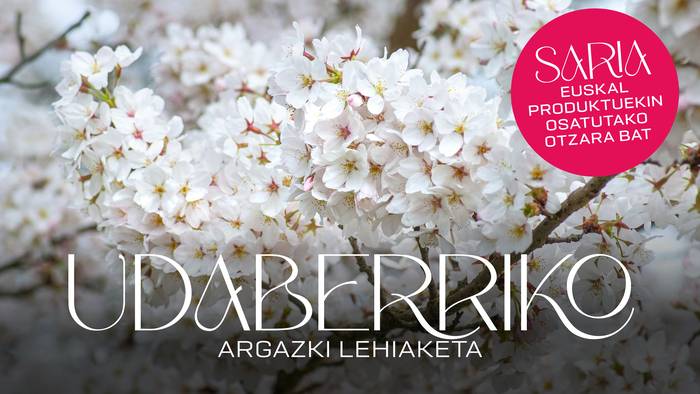 Udaberriko Argazki Lehiaketako oinarriak