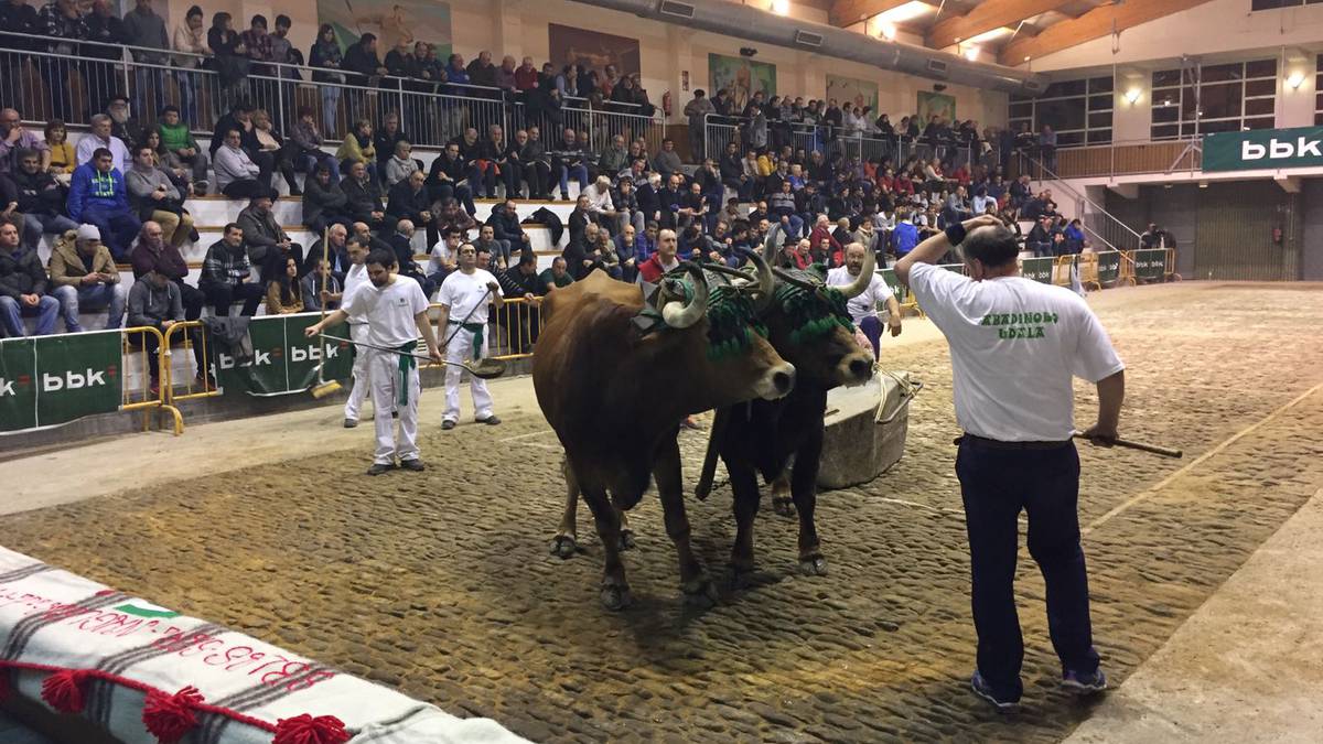 Zaldi probek idi proben hutsunea beteko dute San Blas egunean