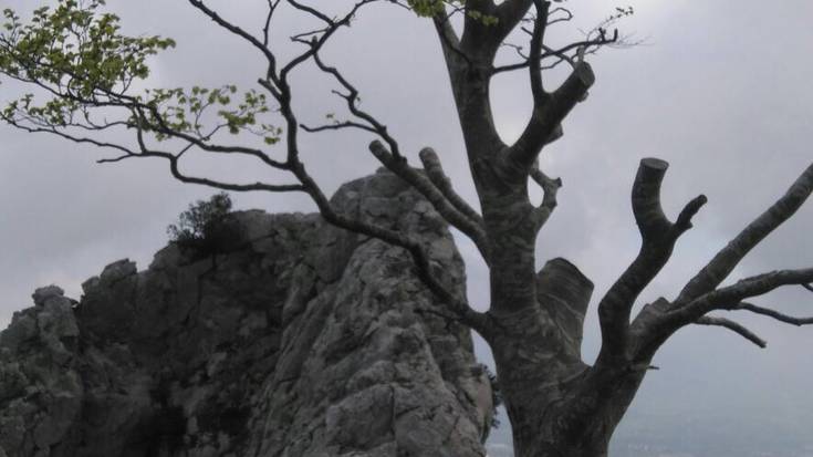 Astxikiko pagoak neguari eutsi dio
