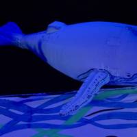 'Sesamo ireki zaitez!'