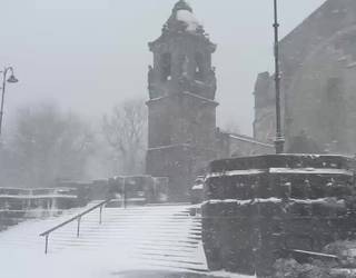 [BIDEOA]: Elurrak dena estaltzen duenean