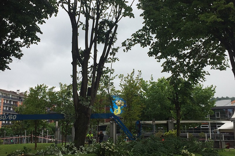 Zuhaitz bat moztuko dute Zelaieta parkean, prebentzio moduan