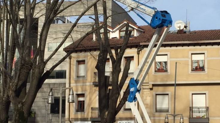 Egoera txarrean dauden zuhaitzak bota eta berriak ipiniko ditu Durangoko Udalak
